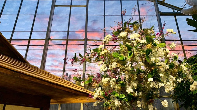 Asian gardens join orchids for this year's Selby Gardens show