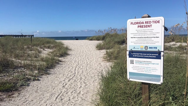 Signs warn of red tide's return to Venice Beach