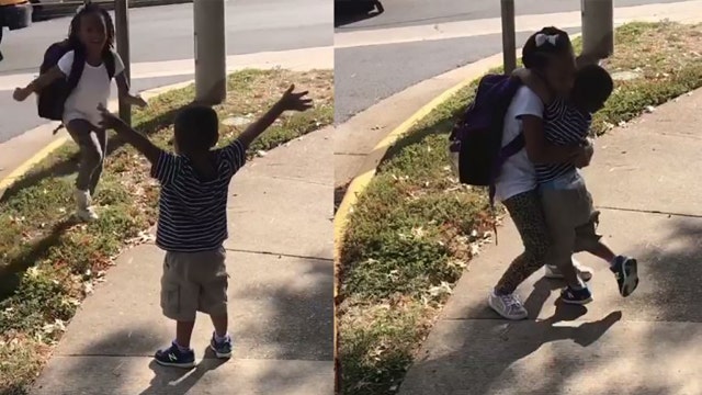 Adorable video shows excited toddler greeting big sister at school bus