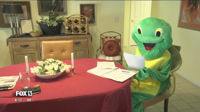 Lawyer, former EPA employee running for Clearwater mayor as sea turtle