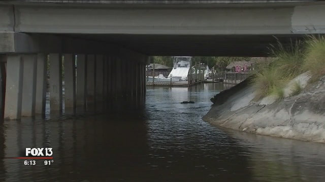 New Port Richey proposes under-bridge trail to Port Richey waterfront