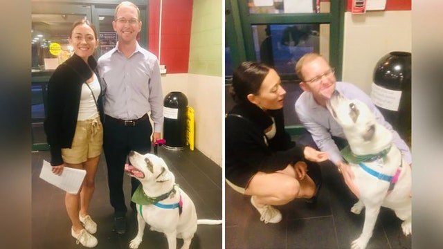 'He never gave up': After 1,076 days at animal shelter, Bentley finds forever home