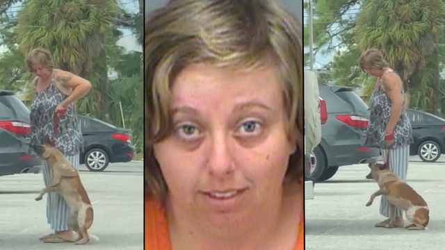 Woman arrested for kicking, pulling dog off the ground by leash in Tarpon Springs