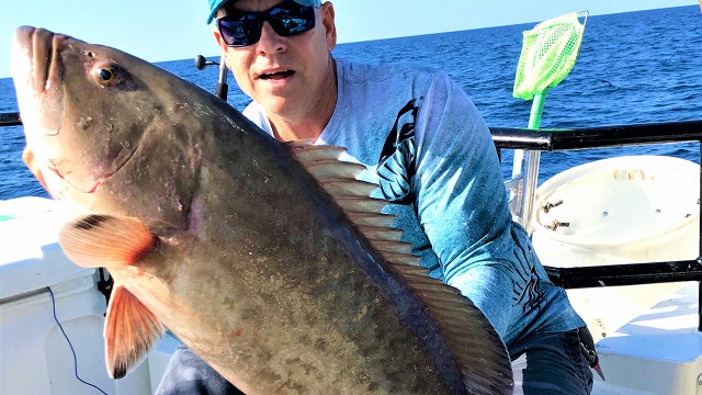Good Catch: Grouper action better in deepest near shore waters