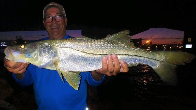 Good Catch: By day and night, snook are active inshore