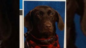 Very good service dog poses for yearbook photo at Arkansas elementary school