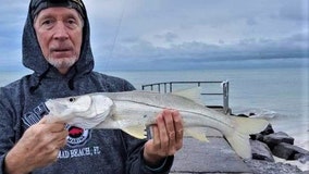 Fishing Report: November 15, 2019