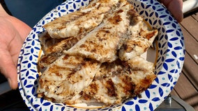 Recipe: Captain Dylan’s Grilled Mangrove Snapper