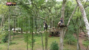 Florida won't feel flat at this aerial adventure course