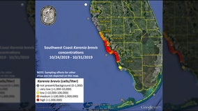 FWC: Low levels of red tide detected off Pinellas County