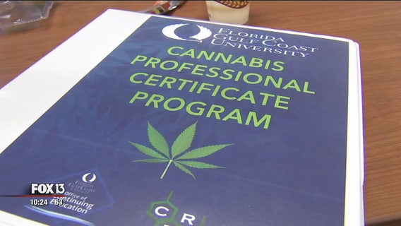 High level of interest in FGCU's cannabis class