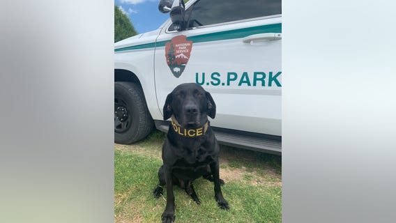 K9 officer retires after 56 'dog years' of service to National Park Service