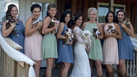 Bride includes puppies in her wedding to help them get adopted