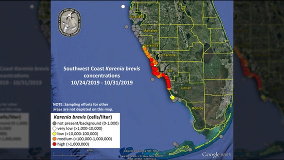 FWC: Low levels of red tide detected off Pinellas County