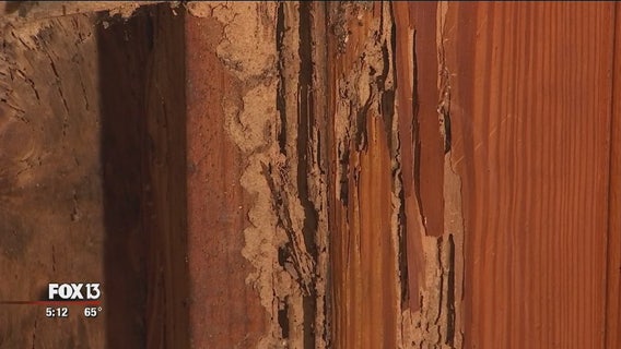 Plant City man hopes his termite tragedy helps home buyers avoid the same