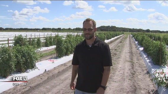 Agriculture program benefits veterans and farmers