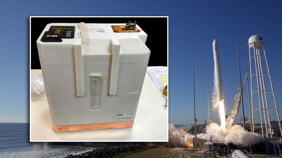 Wine cellar in space: 12 bottles arrive for year of out-of-this-world aging