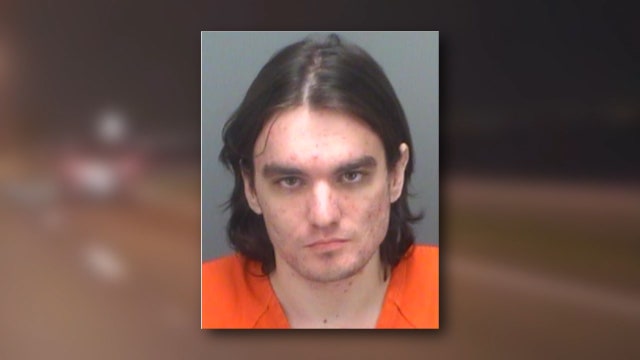 Driver tries to race undercover officer on the Courtney Campbell Causeway, police say