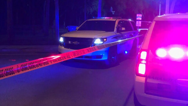 Teen arrested in Sarasota double shooting