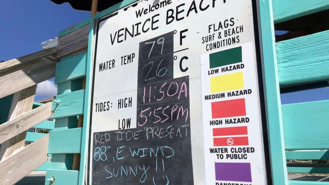 Beachgoers, business owners hope red tide doesn't get worse