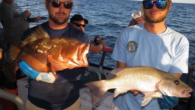 Fishing Report: November 29, 2019