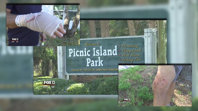 Dog owners take off after animals attack man playing disc golf at Picnic Island Park
