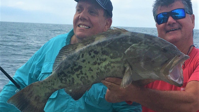 Fishing Report: November 8, 2019
