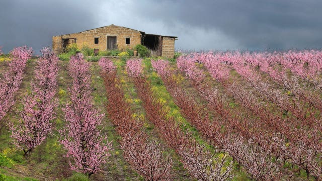 Another Italian town, Bivona, is selling homes that need repairs for $1