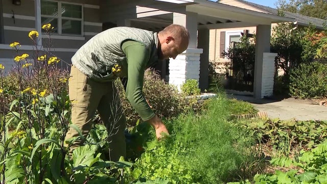 Florida man vows to live off the land in urban Orlando for 1-year