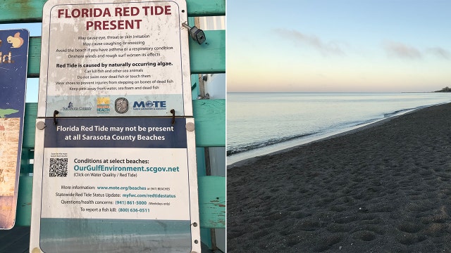FWC: High concentrations of red tide detected in Sarasota County