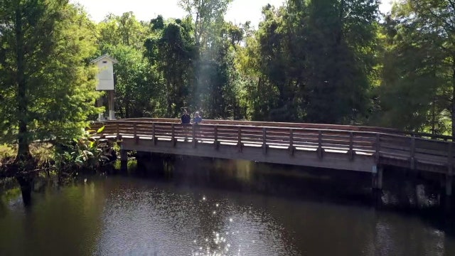 The unexpected beauty of Clearwater's Moccasin Lake Nature Park