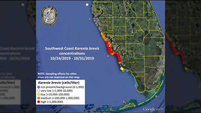 FWC: Low levels of red tide detected off Pinellas County