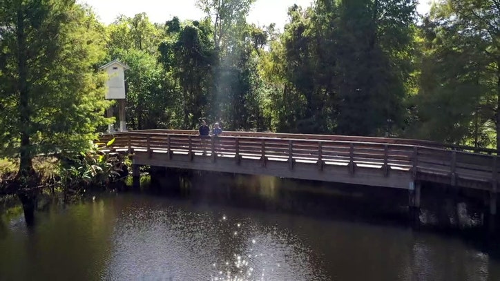 The unexpected beauty of Clearwater's Moccasin Lake Nature Park - FOX 13 Tampa Bay