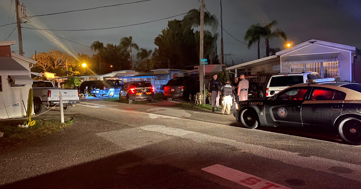 FHP: Fatal pedestrian crash in Holiday leaves grandmother dead | FOX 13 ...