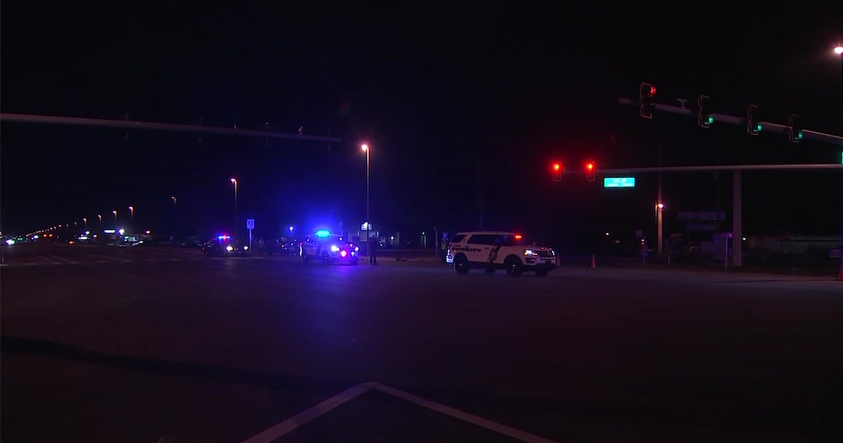 Bicyclist, her dog dies in Hudson crash, troopers say | FOX 13 Tampa Bay