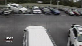 Car goes flying onto Citrus County car dealership