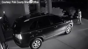 Polk County deputies are looking for a delivery driver who took a package back