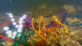 Tampa mayor launches campaign to keep beads out of the bay
