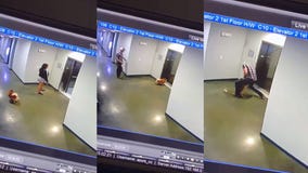 Video captures man’s heroic rescue of dog after leash gets shut in elevator doors