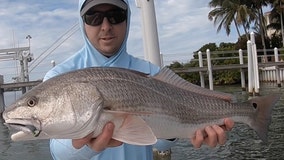 Fishing Report: December 13, 2019