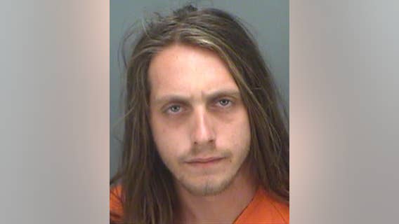 St. Petersburg man arrested for molestation and child porn