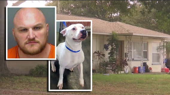 Neighbors record man beating dog unconscious: police