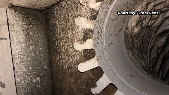 Lawsuit claims mold made some MacDill living quarters unsafe