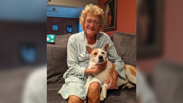 Clearwater community helps reunite owner who lost dog after car crash