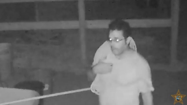 Manatee deputies seek person of interest in horse slaughter case