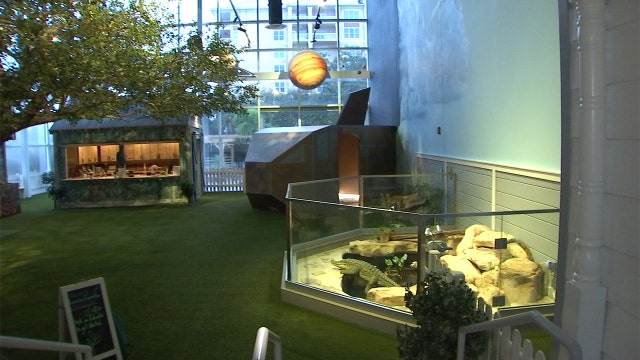 Kids can explore nature in a backyard that’s actually inside a museum