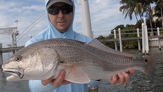 Fishing Report: December 13, 2019