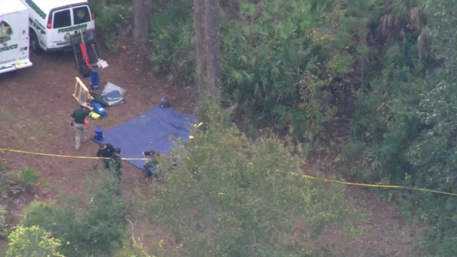 Hiker discovers skeletal remains in Werner-Boyce Salt Springs State Park