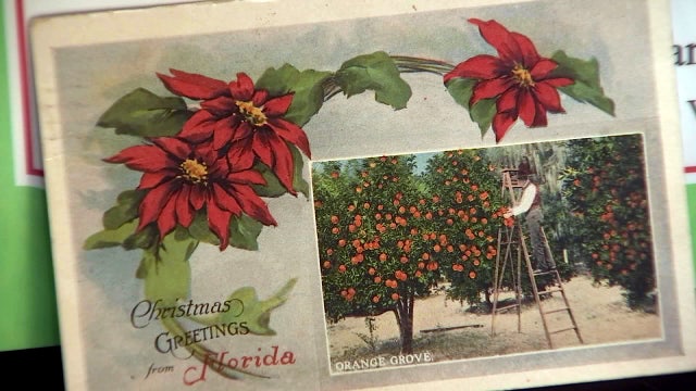 The enduring allure of Florida's Christmas cards
