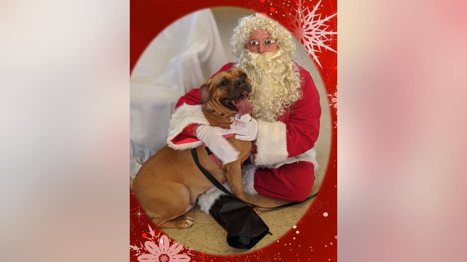 lucy_PSPCA_02.jpg